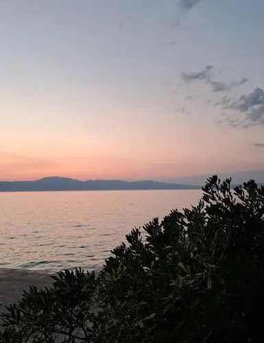 Dragas マリンスカ