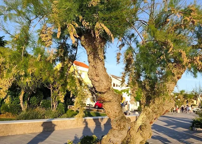 Dragas Apartament Malinska
