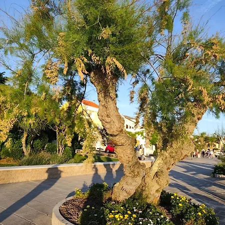 Dragas Apartment Malinska